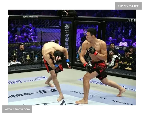 王冠mma比赛视频